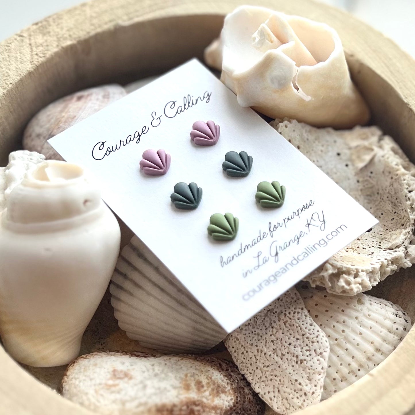 Mini Seashell Stud Pack #2